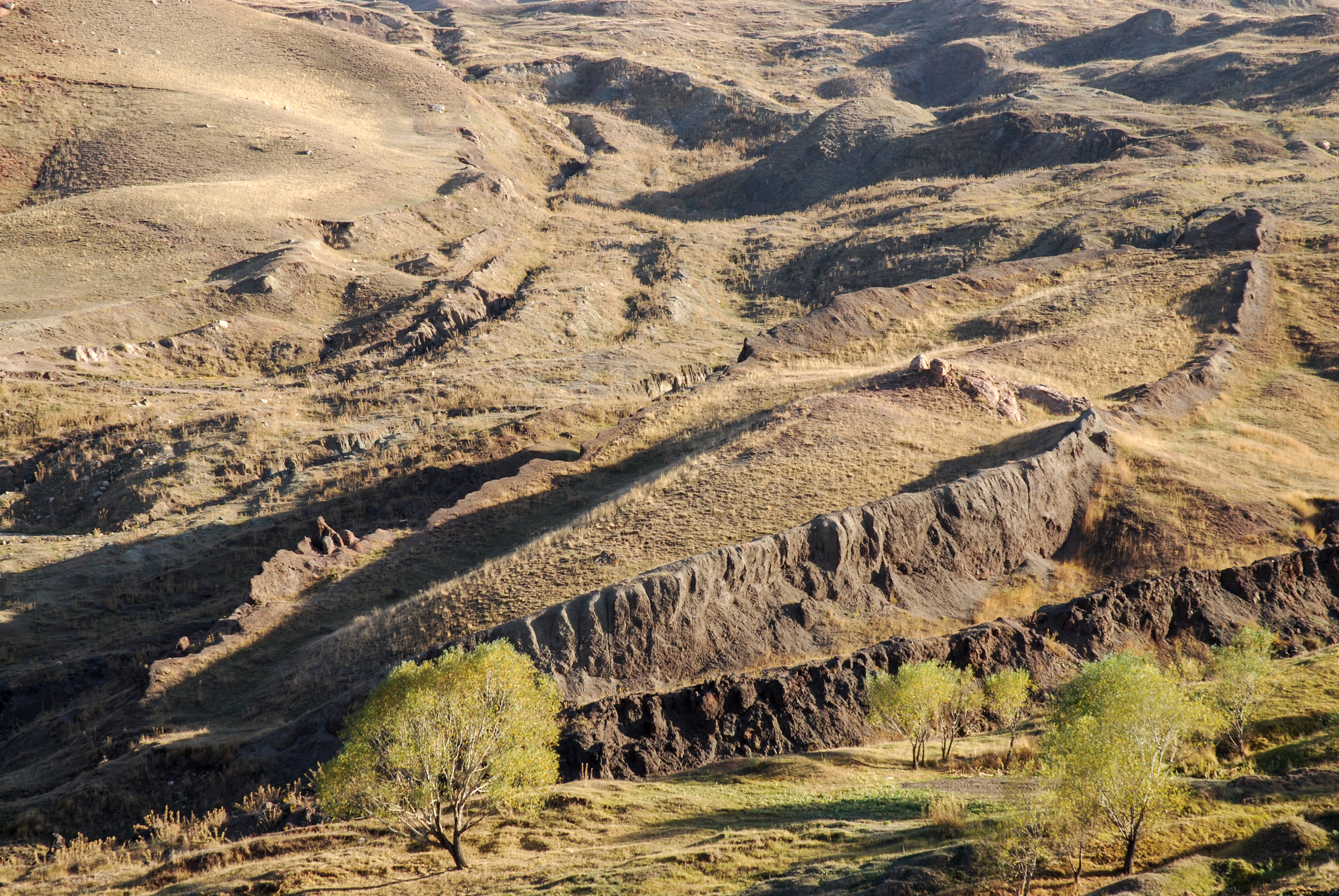 The Durup&inodot;nar formation photographed in 2009